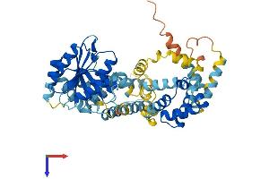 AlphaFold protein structure predicition of Mouse Recombinant Srp54 Protein, UniprotID P14576