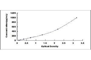 Typical standard curve (HSPG Kit ELISA)