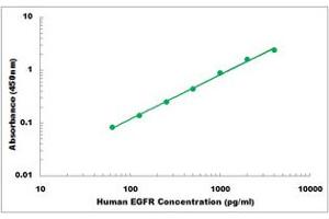 Representative Standard Curve (EGFR Kit ELISA)