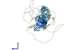 AlphaFold protein structure predicition of Mouse Recombinant Top2a Protein, UniprotID Q01320