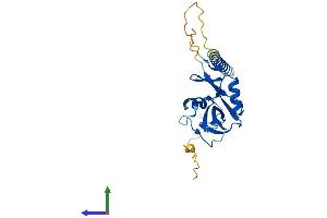 AlphaFold protein structure predicition of Mouse Recombinant Klrb1c Protein, UniprotID P27814 (NK-1.1/CD161c Protein (AA 1-223) (His tag))