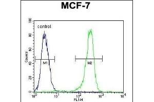 DC13 Antibody (N-term) (ABIN651108 and ABIN2840074) flow cytometric analysis of MCF-7 cells (right histogram) compared to a negative control cell (left histogram).