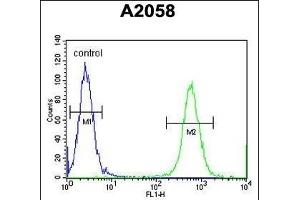 CCD Antibody (Center) (ABIN654566 and ABIN2844272) flow cytometric analysis of  cells (right histogram) compared to a negative control cell (left histogram).