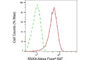 Flow cytometric analysis of SNX9 expression in HeLa cells using SNX9 antibody (ABIN7800413), 1:2,000).