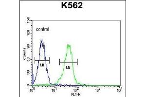 KCNJ6 Antibody (Center) (ABIN652033 and ABIN2840507) flow cytometric analysis of K562 cells (right histogram) compared to a negative control cell (left histogram). (KCNJ6 anticorps  (AA 26-55))