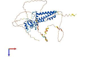 AlphaFold protein structure predicition of Human Recombinant TFAP2C Protein, UniprotID Q92754