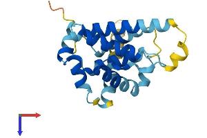 AlphaFold protein structure predicition of Mouse Recombinant Bcl2l10 Protein, UniprotID Q9Z0F3