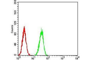 Flow cytometric analysis of A549 cells using LGR5 mouse mAb (green) and negative control (red).