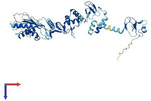 AlphaFold protein structure predicition of Human Recombinant RNF14 Protein, UniprotID Q9UBS8