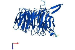 AlphaFold protein structure predicition of Mouse Recombinant Bub3 Protein, UniprotID Q9WVA3