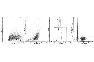 Image no. 1 for anti-Integrin, alpha E (Antigen CD103, Human Mucosal Lymphocyte Antigen 1, alpha Polypeptide) (ITGAE) antibody (PE) (ABIN1105730) (CD103 anticorps  (PE))