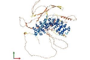 AlphaFold protein structure predicition of Mouse Recombinant Arvcf Protein, UniprotID P98203