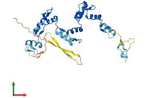 AlphaFold protein structure predicition of Human Recombinant ZNF771 Protein, UniprotID Q7L3S4
