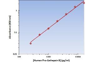 This is an example of what a typical standard curve will look like. (Pro-Cathepsin B Kit ELISA)
