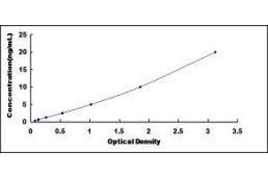 Secreted Protein, Acidic, Cysteine-Rich (Osteonectin) (SPARC) ELISA Kit