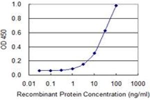 Detection limit for recombinant GST tagged ZNF180 is 0. (ZNF180 anticorps  (AA 176-285))