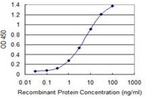 Detection limit for recombinant GST tagged FLJ23834 is 0.