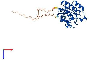 AlphaFold protein structure predicition of Human Recombinant RAB5A Protein, UniprotID P20339