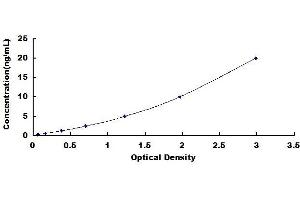 Ribosomal Protein S19 (RPS19) ELISA Kit