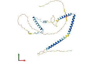 AlphaFold protein structure predicition of Mouse Recombinant Hexim2 Protein, UniprotID Q3TVI4