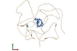 AlphaFold protein structure predicition of Mouse Recombinant Elf2 Protein, UniprotID Q9JHC9