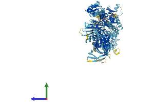 AlphaFold protein structure predicition of Human Recombinant MYO1A Protein, UniprotID Q9UBC5