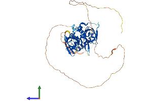 AlphaFold protein structure predicition of Human Recombinant PYHIN1 Protein, UniprotID Q6K0P9