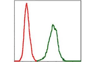 Flow cytometric analysis of NIH/3T3 cells using SERPINE1 monoclonal antobody, clone 1D5  (green) and negative control (red). (PAI1 anticorps)
