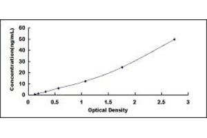 Typical standard curve (CHRM3 Kit ELISA)