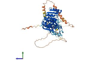 AlphaFold protein structure predicition of Human Recombinant THUMPD2 Protein, UniprotID Q9BTF0