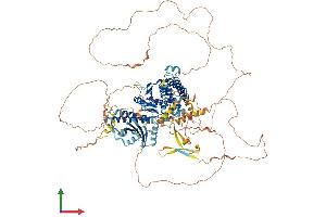 AlphaFold protein structure predicition of Human Recombinant FNIP2 Protein, UniprotID Q9P278
