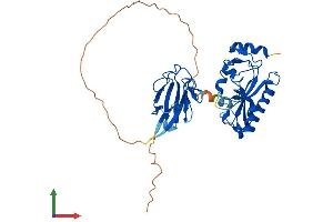 AlphaFold protein structure predicition of Human Recombinant APTX Protein, UniprotID Q7Z2E3