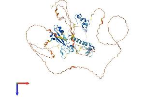 AlphaFold protein structure predicition of Human Recombinant MBD1 Protein, UniprotID Q9UIS9