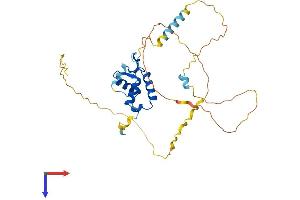 AlphaFold protein structure predicition of Human Recombinant FOXB1 Protein, UniprotID Q99853