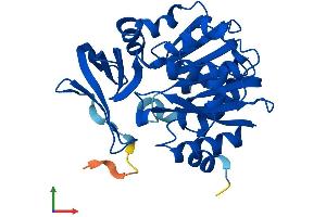 AlphaFold protein structure predicition of Mouse Recombinant Srm Protein, UniprotID Q64674