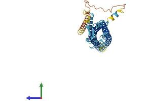 AlphaFold protein structure predicition of Mouse Recombinant Gpm6b Protein, UniprotID P35803