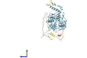 AlphaFold protein structure predicition of Human Recombinant ZNF57 Protein, UniprotID Q68EA5