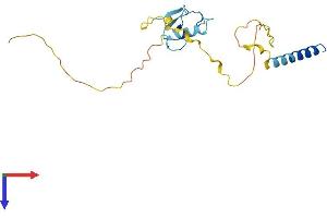 AlphaFold protein structure predicition of Mouse Recombinant Rnf185 Protein, UniprotID Q91YT2