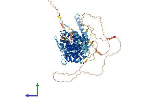AlphaFold protein structure predicition of Mouse Recombinant Bbs10 Protein, UniprotID Q9DBI2