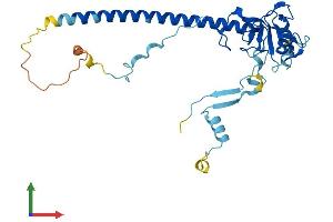 AlphaFold protein structure predicition of Human Recombinant NOSIP Protein, UniprotID Q9Y314