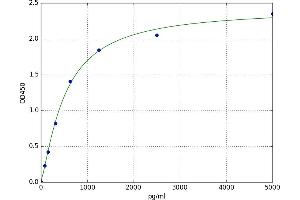 A typical standard curve (14-3-3 sigma/SFN Kit ELISA)
