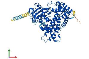 AlphaFold protein structure predicition of Human Recombinant CYP2S1 Protein, UniprotID Q96SQ9