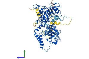 AlphaFold protein structure predicition of Human Recombinant NT5C2 Protein, UniprotID P49902