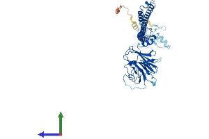 AlphaFold protein structure predicition of Human Recombinant TRIM69 Protein, UniprotID Q86WT6