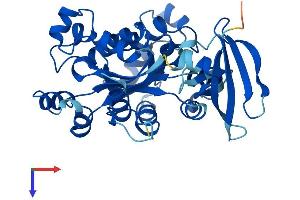 AlphaFold protein structure predicition of Human Recombinant NME7 Protein, UniprotID Q9Y5B8
