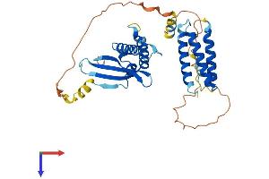AlphaFold protein structure predicition of Mouse Recombinant Snx15 Protein, UniprotID Q91WE1