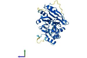 AlphaFold protein structure predicition of Human Recombinant ELAC1 Protein, UniprotID Q9H777