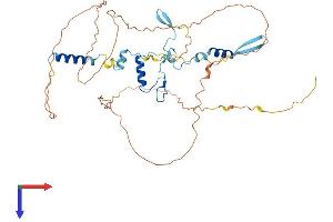 AlphaFold protein structure predicition of Human Recombinant GPATCH4 Protein, UniprotID Q5T3I0