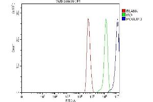Flow Cytometry analysis of U251 cells using anti-POGLUT3 antibody (ABIN7825696). (POGLUT3 (AA 48-499) anticorps)