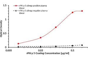 ELISA (enzyme-linked immunosorbent assay) test was designed to prove the bond between the coated target recombinant allergen rPhl p 5 and allergen-specific human plasma IgG4 antibodies of Phleum pratense positive donor.